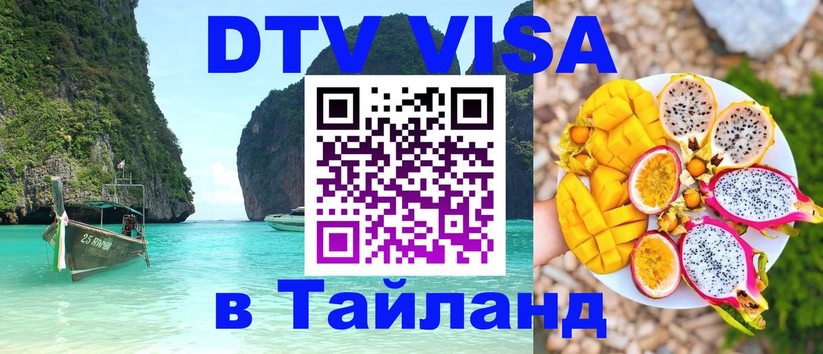 Сколько стоит DTV виза — актуальные цены, оформление даже без документов - Тхимпху  06.12.2025 